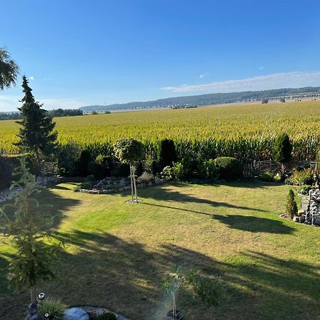 Elbinger Str. 28 Apartman Hildesheim Kültér fotó